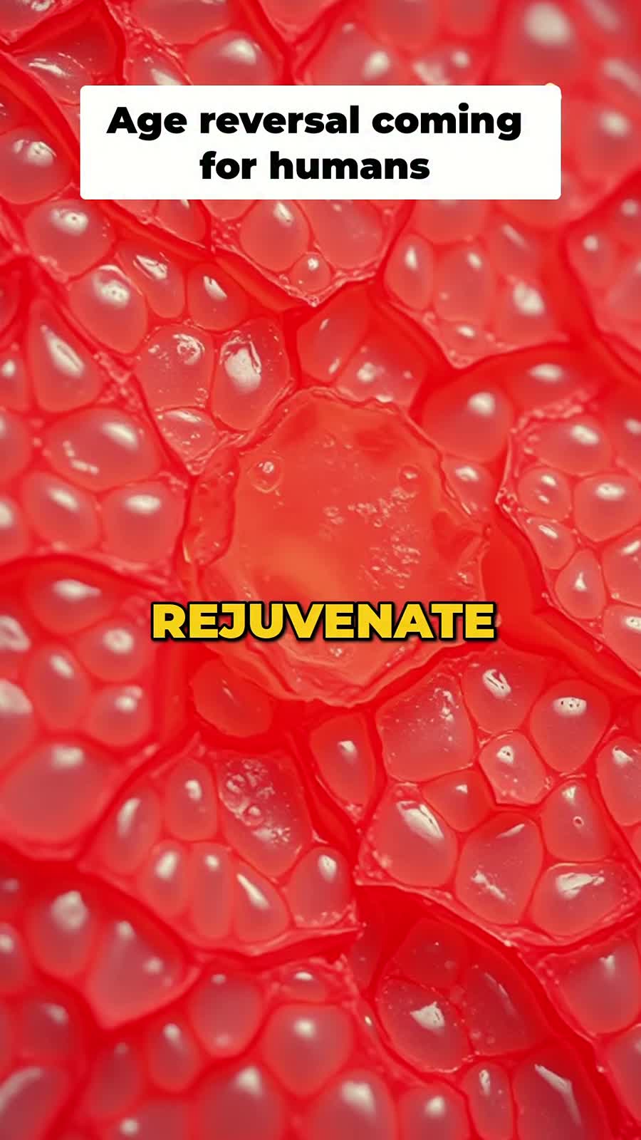 Facebook Reel frame about David Sinclair and rejuvenation science
