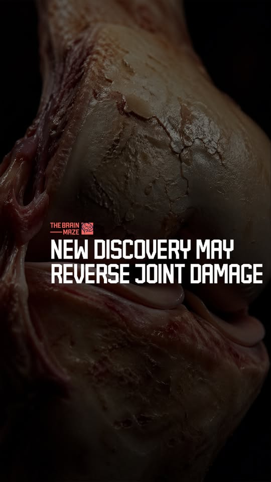Facebook Reel frame about new discovery that may reverse joint damage