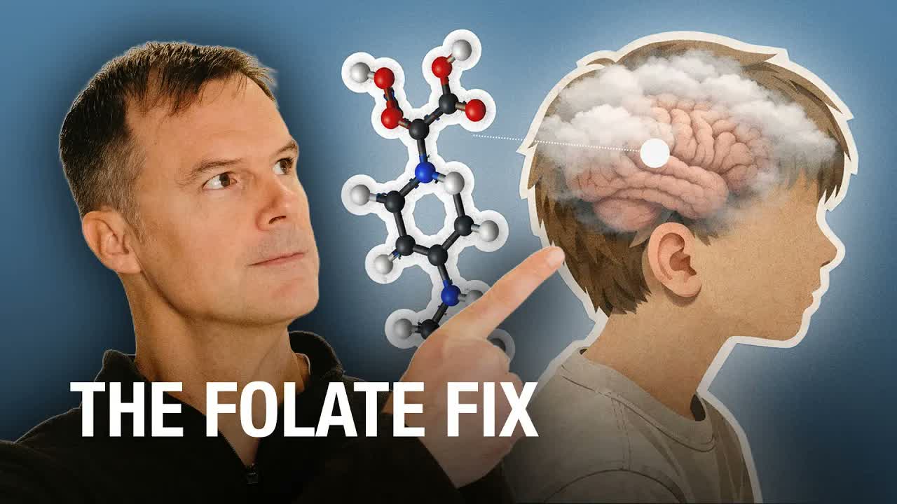 Dr. Ben Lynch The Folate Fix thumbnail