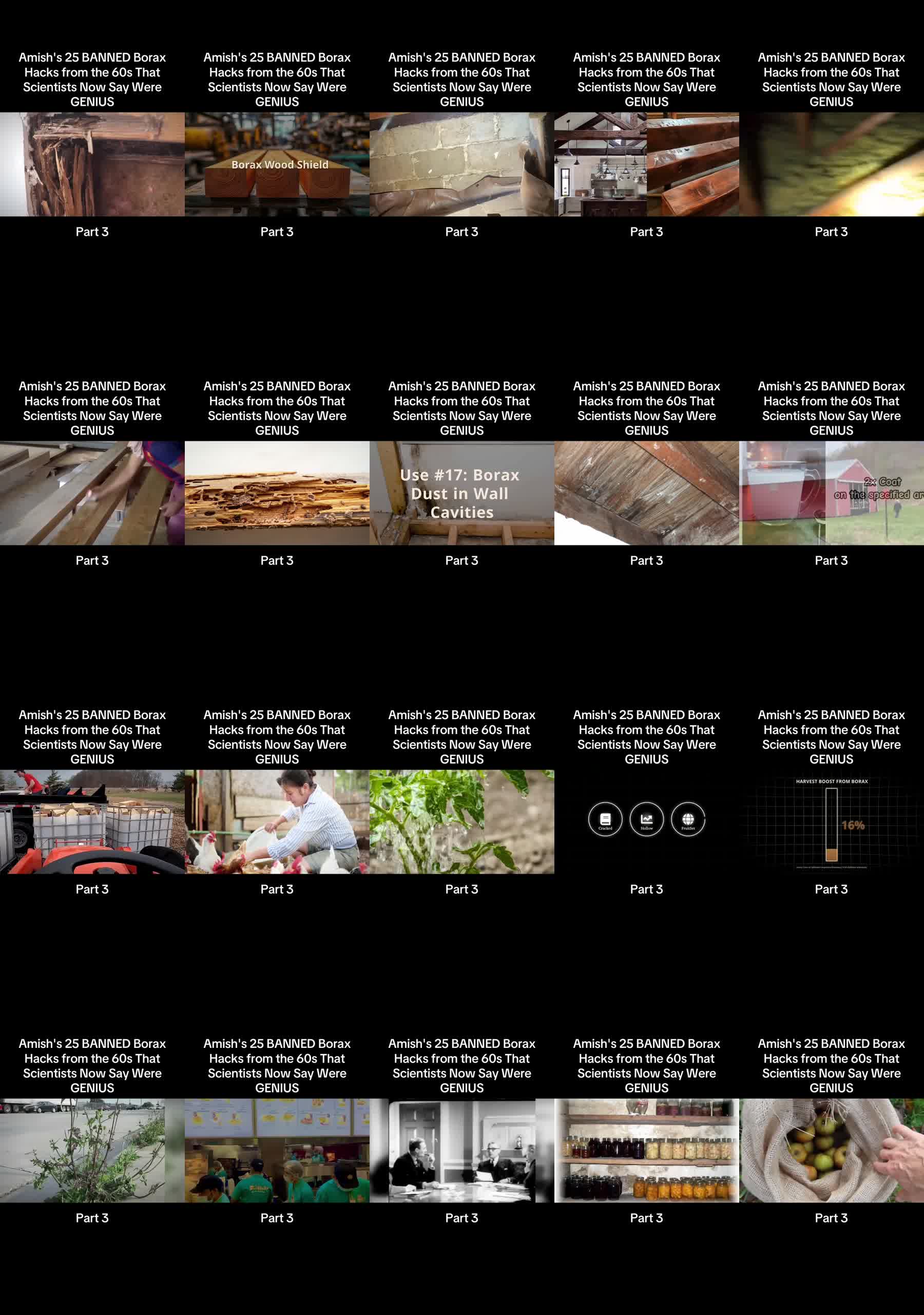 Borax household hacks TikTok contact sheet